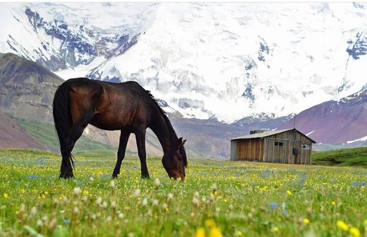 Hotel Pamir Nomad Yurt Camp Kara-Kavak Exterior foto